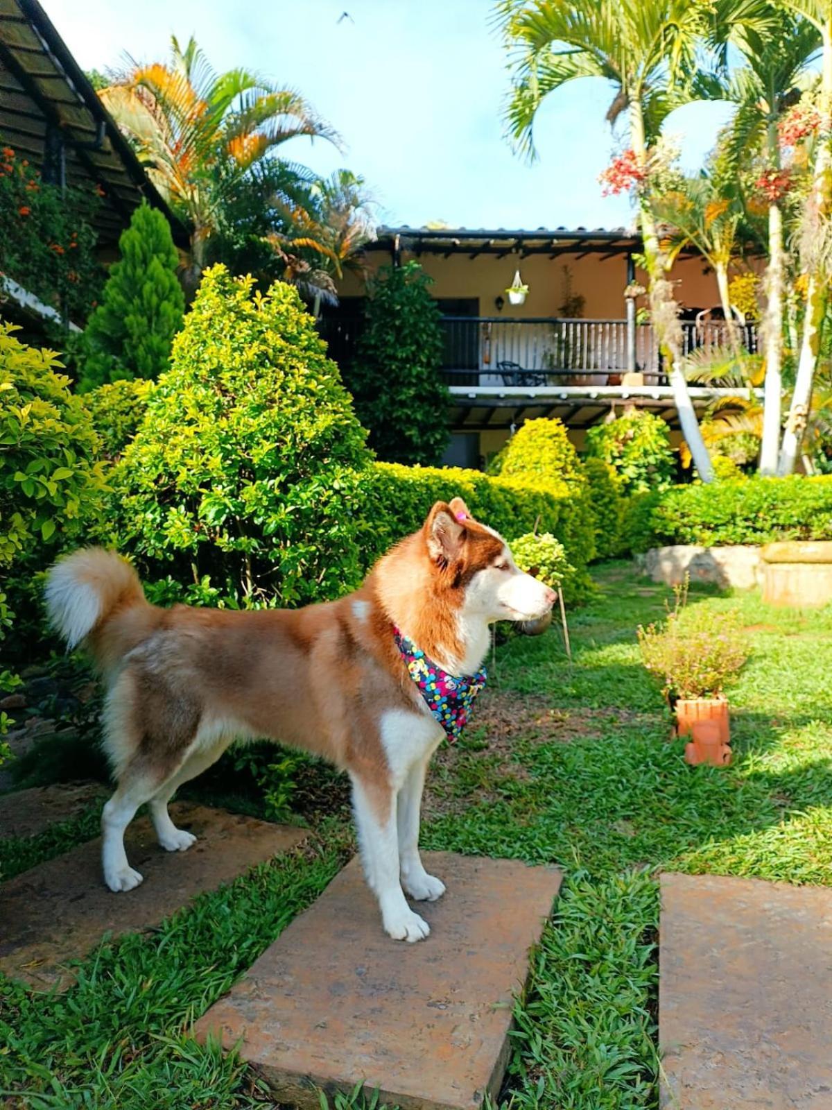 Hotel Campestre Casona Del Camino Real San Gil Exterior photo